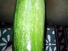 Desi wife eating cucumber